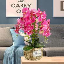 m辰ٻ͏d[Ob҃ȷGֲ[Ըɻ