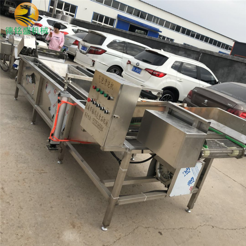 工厂出售速冻果蔬清洗生产线型号 不锈钢大枣清洗机