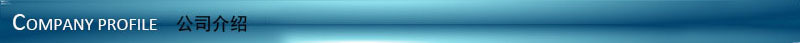 公司介绍