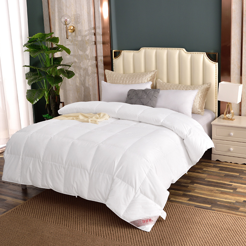 金木摄影DSC_3404 副本