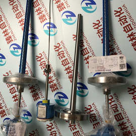 WZP2-240C iaIICT6安徽天康仪表 图片