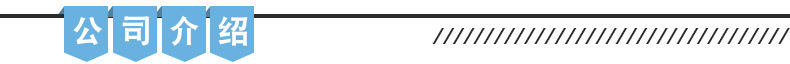 公司介绍