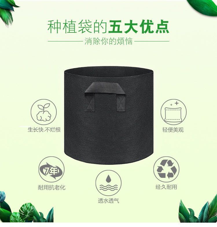 微信图片_20200603154250