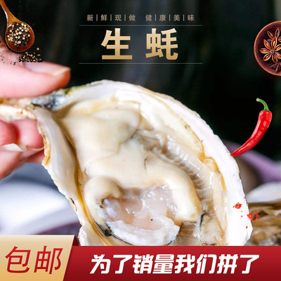 (Monthly sales of over a million)Rushan Oysters Oyster Oyster Cash in cash now A generation of fat fresh