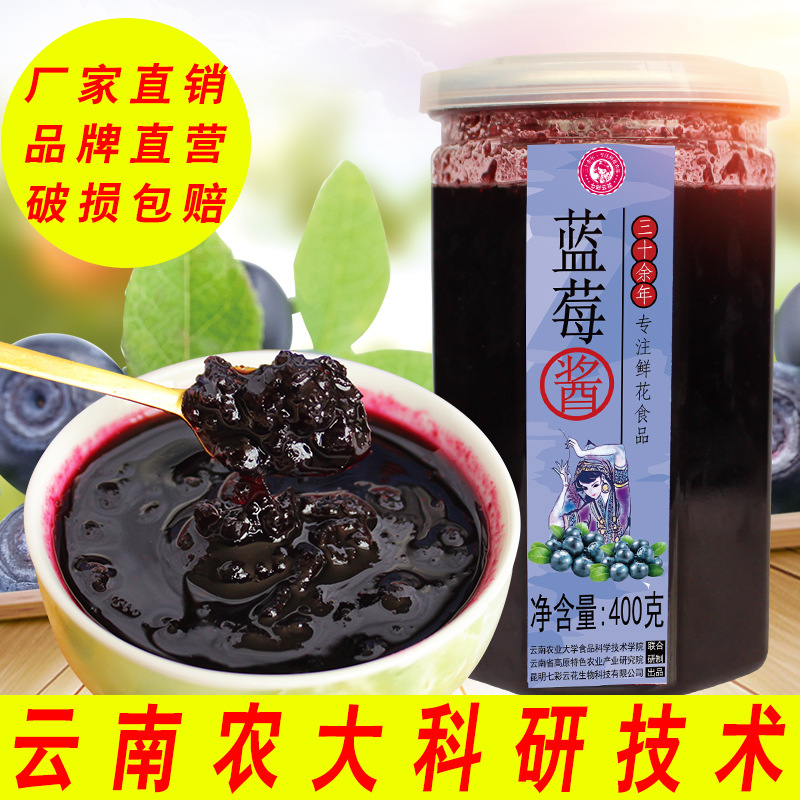 蓝莓酱果肉酱烘焙商用蓝莓酱家用早餐面包吐司酱