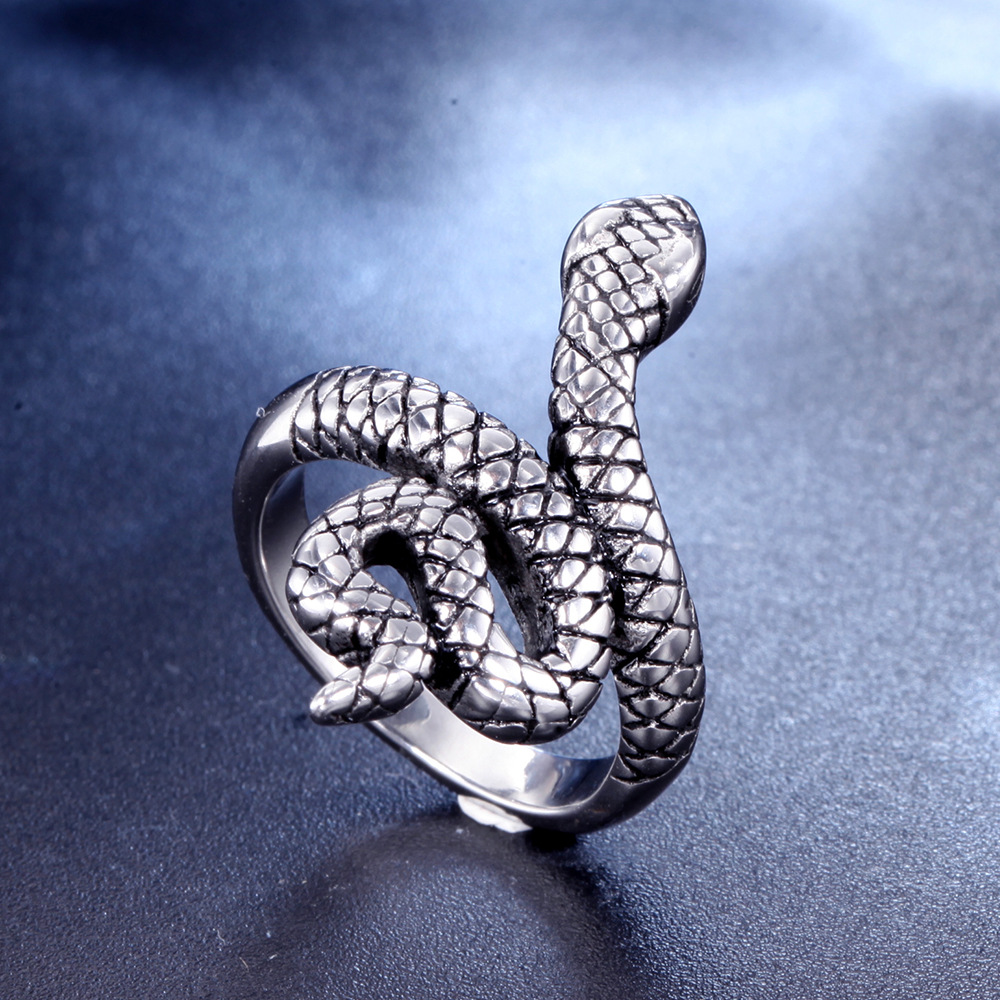 Retro Snake Titanium Steel Polishing None None Men'S Rings display picture 2