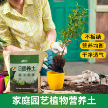 土种植土价格 最新土种植土价格 批发报价 价格大全 阿里巴巴 土种植土价格 最新土种植土价格 批发报价 价格大全 阿里巴巴