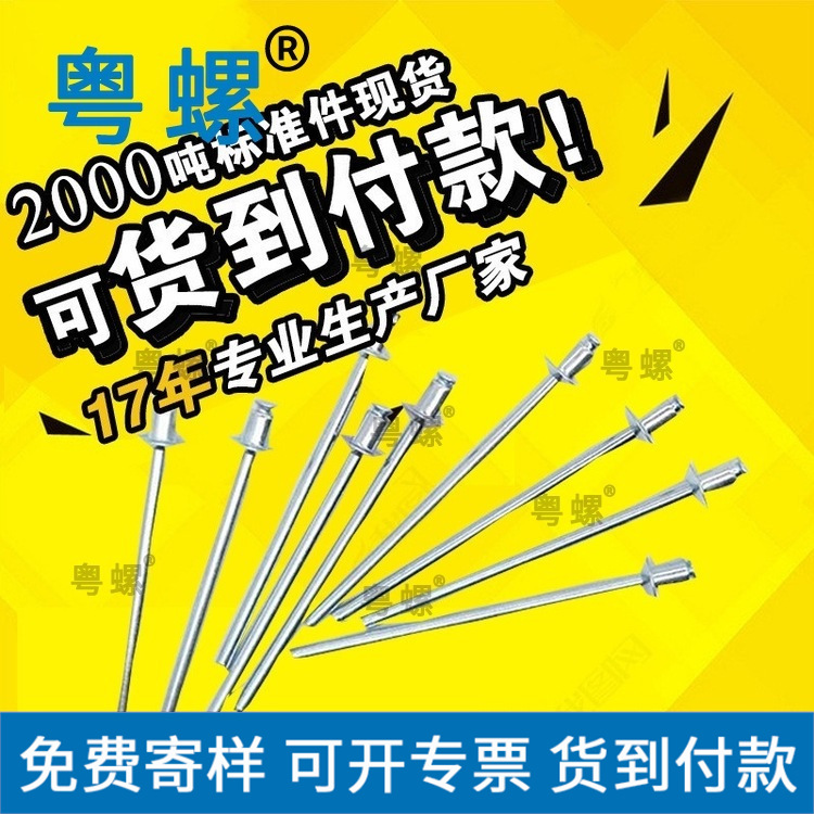   不锈钢抽芯铆钉全抽空双面沉头铆钉