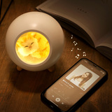 Маленький милый домашний дом Bluetooth-динамик wuji Дамб.