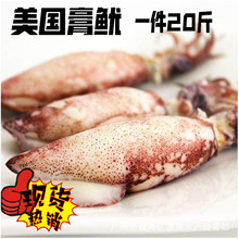 海鲜 冻品 小鱿鱼 膏鱿 笔管鱼 美国小海兔 含籽率40~50% 20斤/件