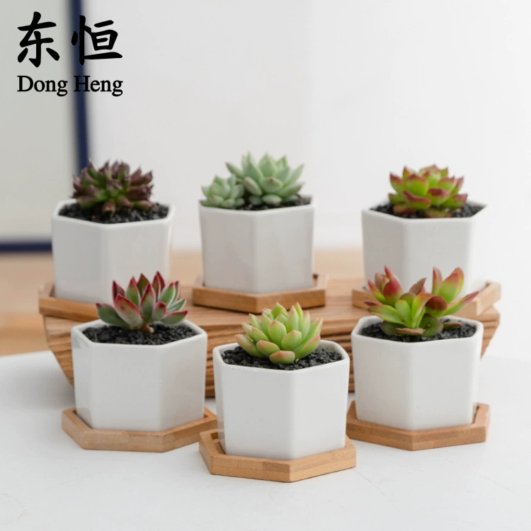 Dongheng мясистый цветочный горшок горшечный керамический креативный белый цветочный горшок маленький шестиугольник мясистый белый фарфоровый маленький цветочный горшок костюм