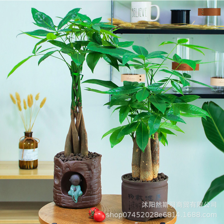 QQͼƬ20200803181925