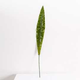 北欧风仿真长款大蕨叶室内家居摆设假树叶花室舞台背景绿植配材燕