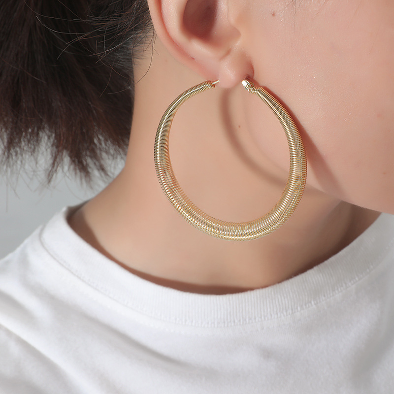 Korea Fashion New Alloy Geometric Simple Retro Exaggerated  Earrings Wholesale Nihaojewely display picture 4