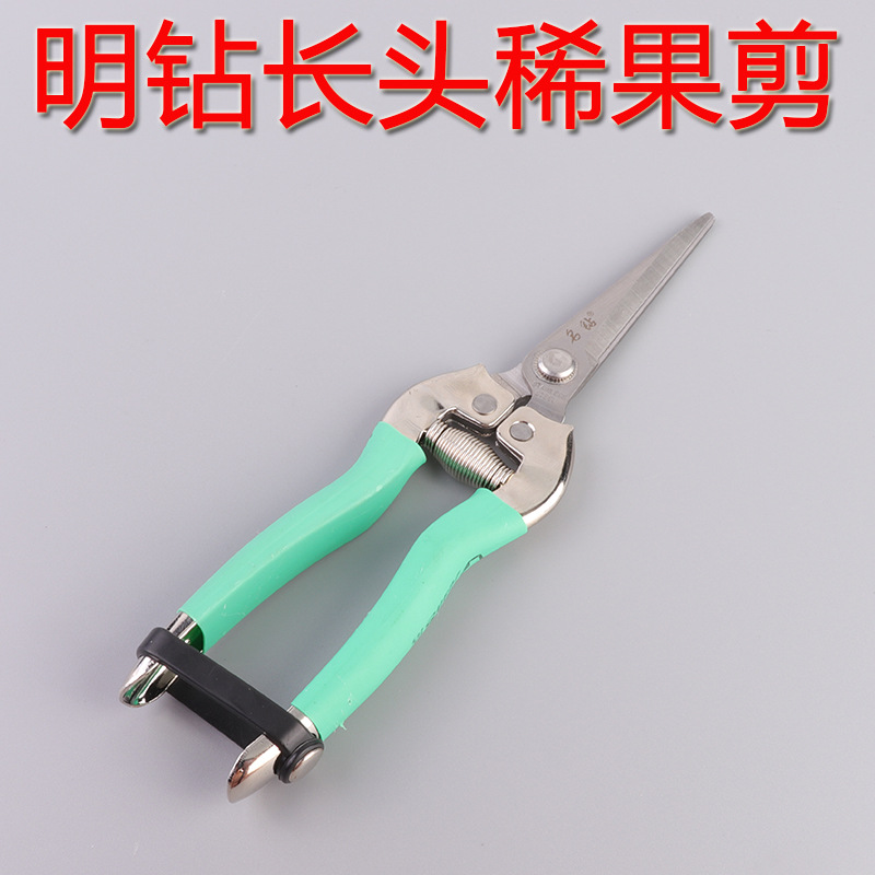 Rare fruit scissors, long mouthed serrated grape, tomato, Sichuan pepper picking tools, agricultural fruit branch scissors