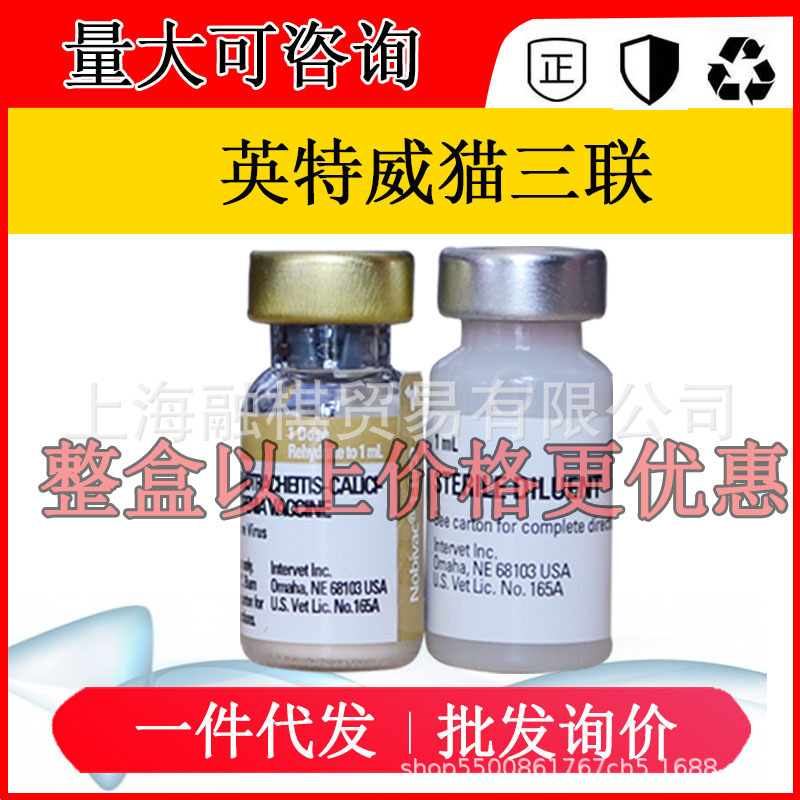 英特威猫三联幼猫疫苗猫鼻支猫瘟荷兰疫苗 疫苗 本|ms