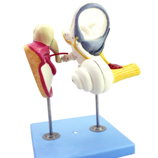 ���w�ȶ���· С�ǹ�Ĥ��΁ģ�� ���Ǻ����t����ͨ�̾�