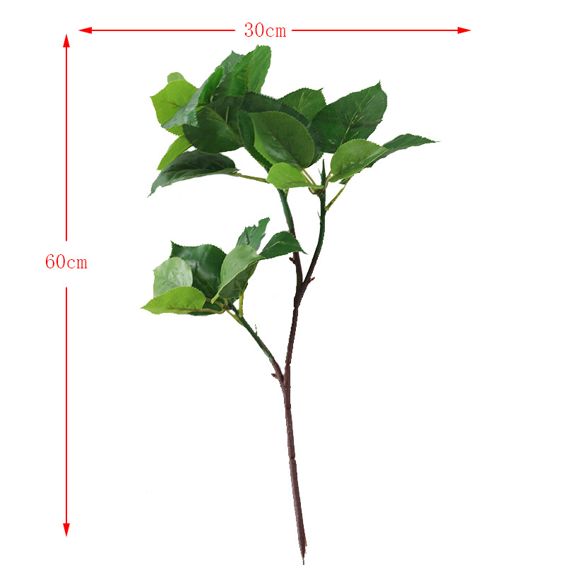 XRB-014苹果三叉枝27叶 (1).jpg