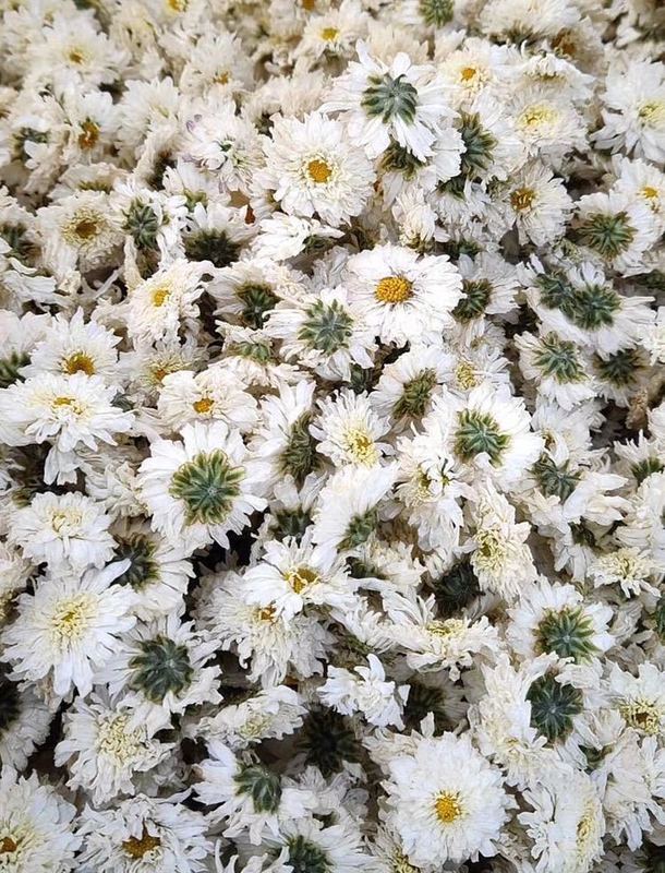 A large number of wholesale July chrysanthemum new flowers listed sunflower for sale Huangshan Gongju base planting Hangzhou white chrysanthemum herbal tea