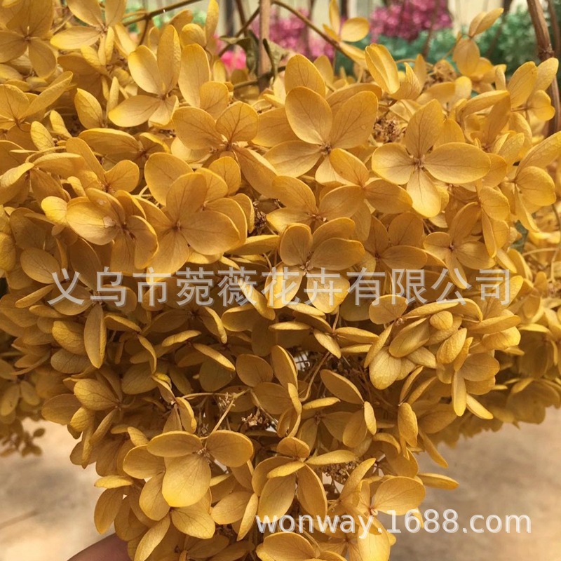 微信图片_20201025113629