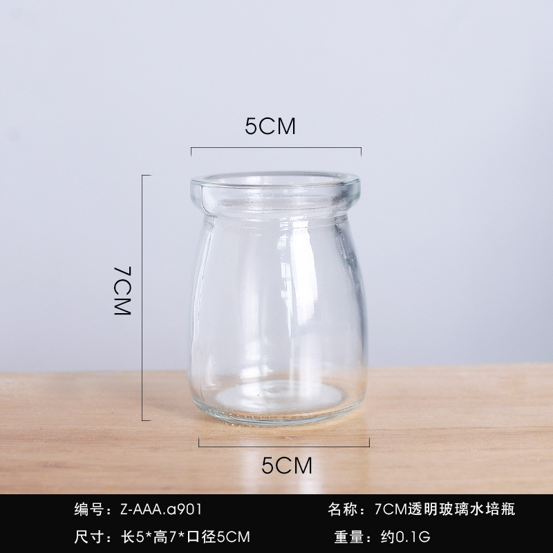 创意绿萝水培花瓶摆件玻璃可爱迷你桌面小花瓶办公室花瓶插花水养