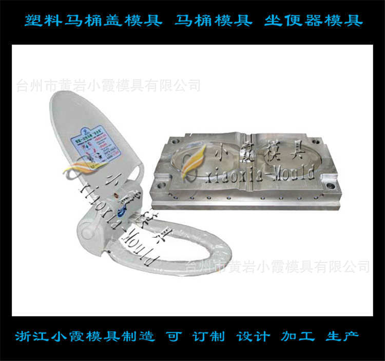 智能马桶盖模具 (49)