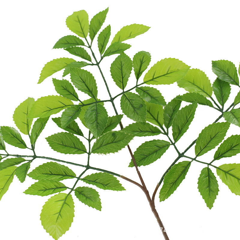 XRB-109 榆树叶三叉枝4.jpg