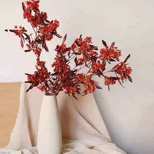 ӭ�Ͷ������������� ��ϻ���ֱ�l �bɻ��Ҿӵ��ܛ�b�廨�仨