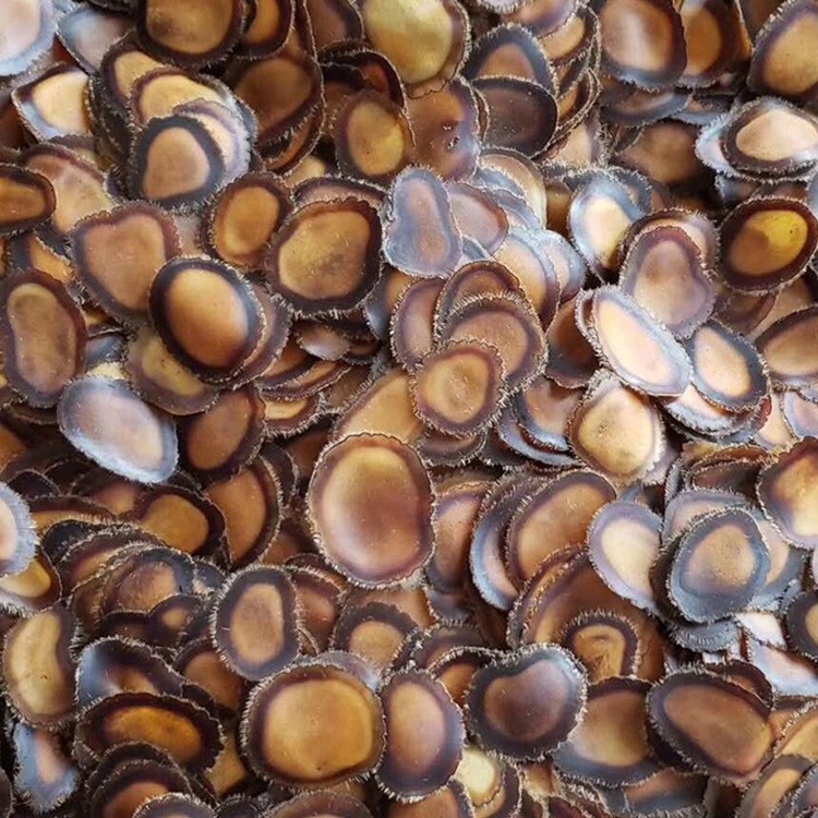 梅花鹿腊片 鹿茸片 纯干腊片 鹿茸腊片 腊片 鹿乡镇发货