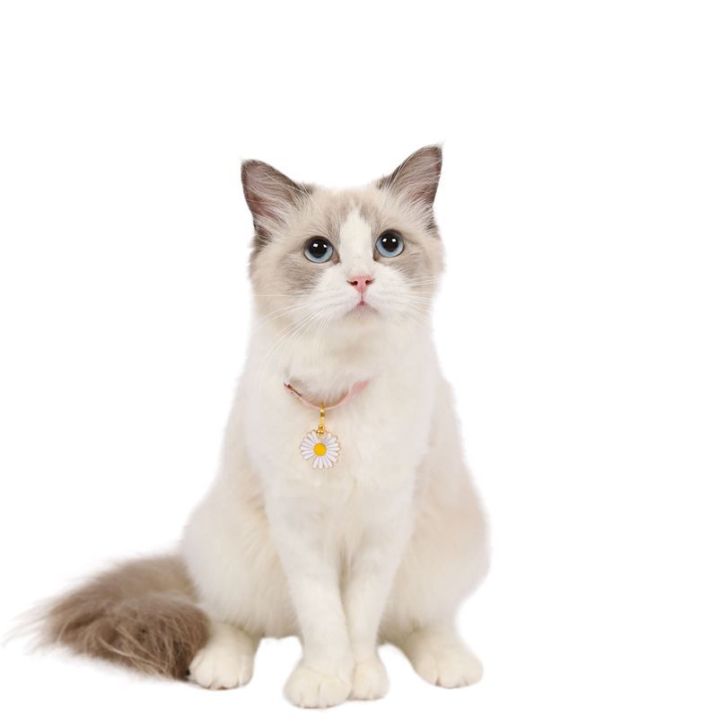 Einfaches Gänseblümchen Verstellbares Haustierhalsband Für Katzen, Hunde, Kaninchen, Entwurmungshalsband display picture 1