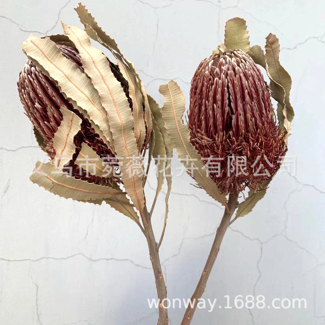 微信图片_20201212223652