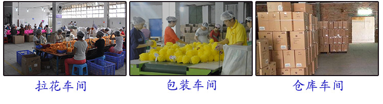 工厂介绍图片NEW2020_06