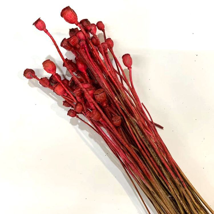 微信图片_20200102163445