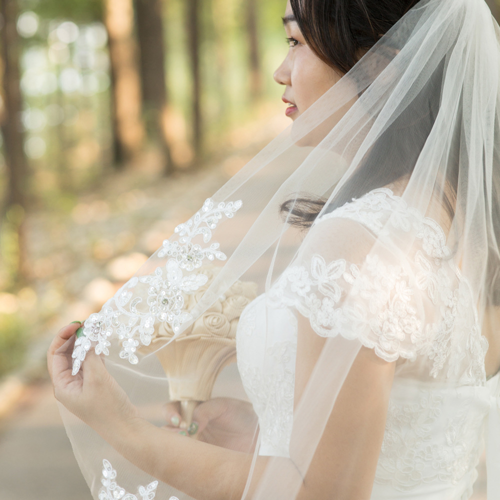 Women'S Solid Color Retro Gauze Iron Birdcage Veils display picture 2