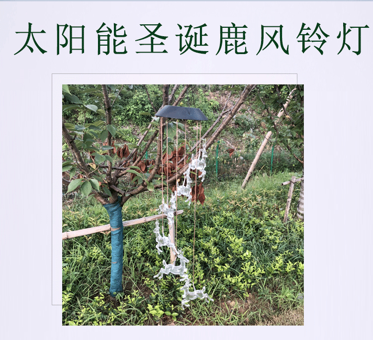 https://www.toonies.cn聖誕鹿_01.gif