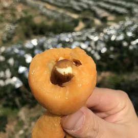 米易枇杷新鲜大果琵琶水果大五星5斤云霄蒙自甜枇杷果一件代发