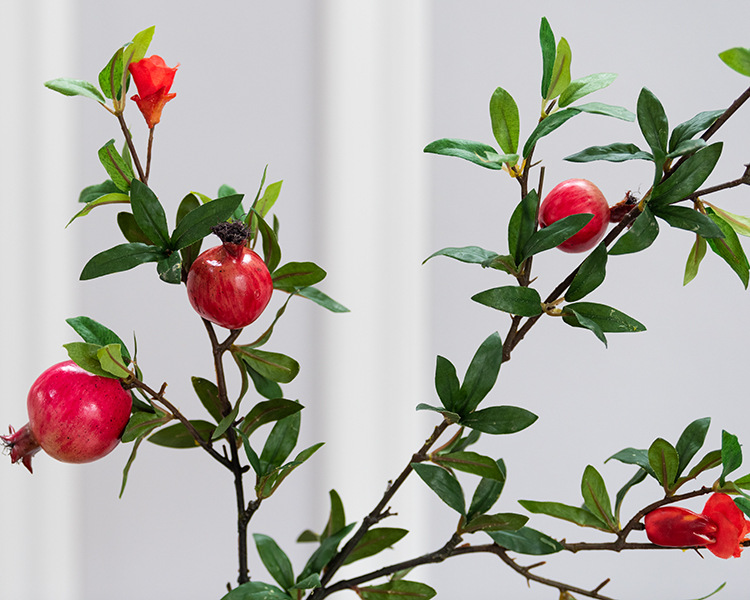 5头石榴带花 红色_03.jpg