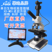 上海馨迪高清单目生物视频显微镜XD-MDI一滴血检测仪配7寸显示器