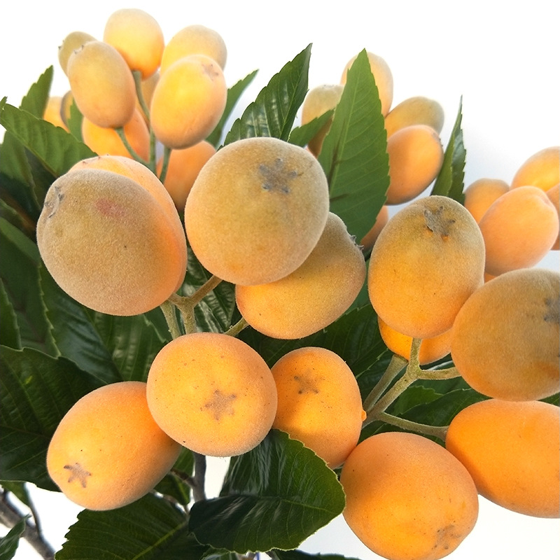 XRG-014 单支枇杷0.8米  (4).jpg