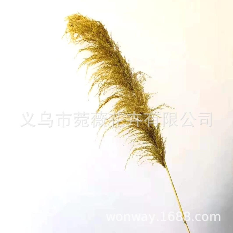 微信图片_20201122135101