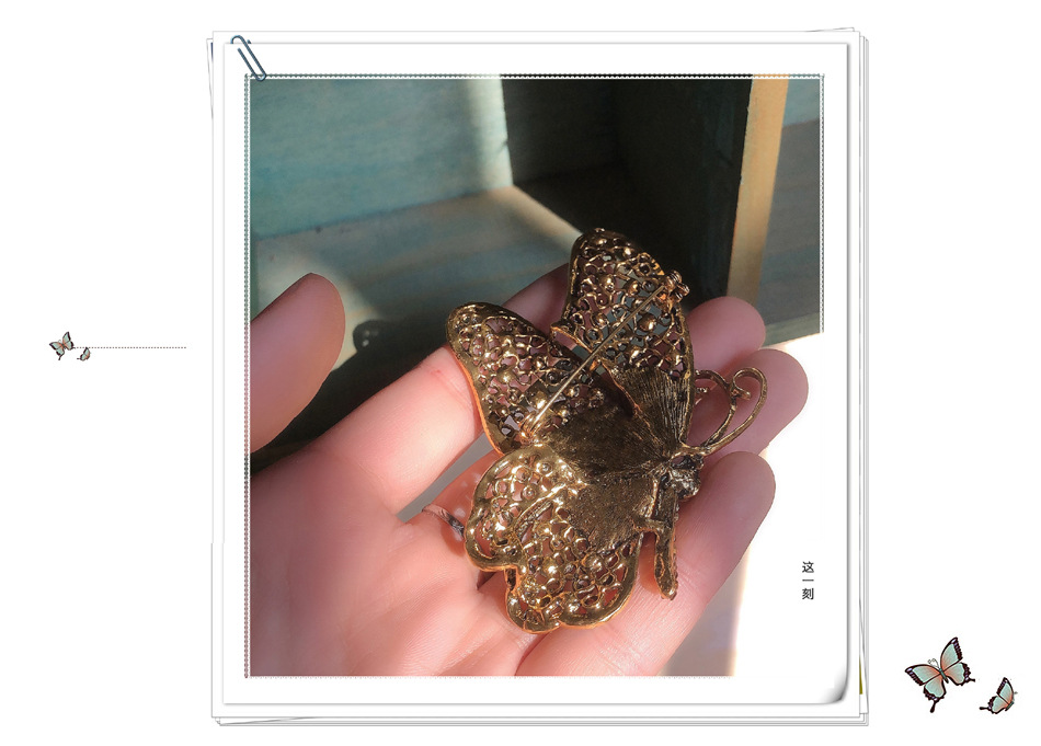 Retro Exaggerated Butterfly Alloy Plating Hollow Out Inlay Rhinestones Women's Brooches display picture 3