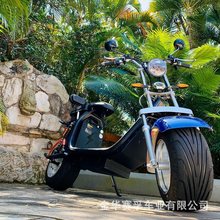 CE EEC Citycoco Halley Scoot M3 �W�����ƌ�̥늄ӻ���܇����܇