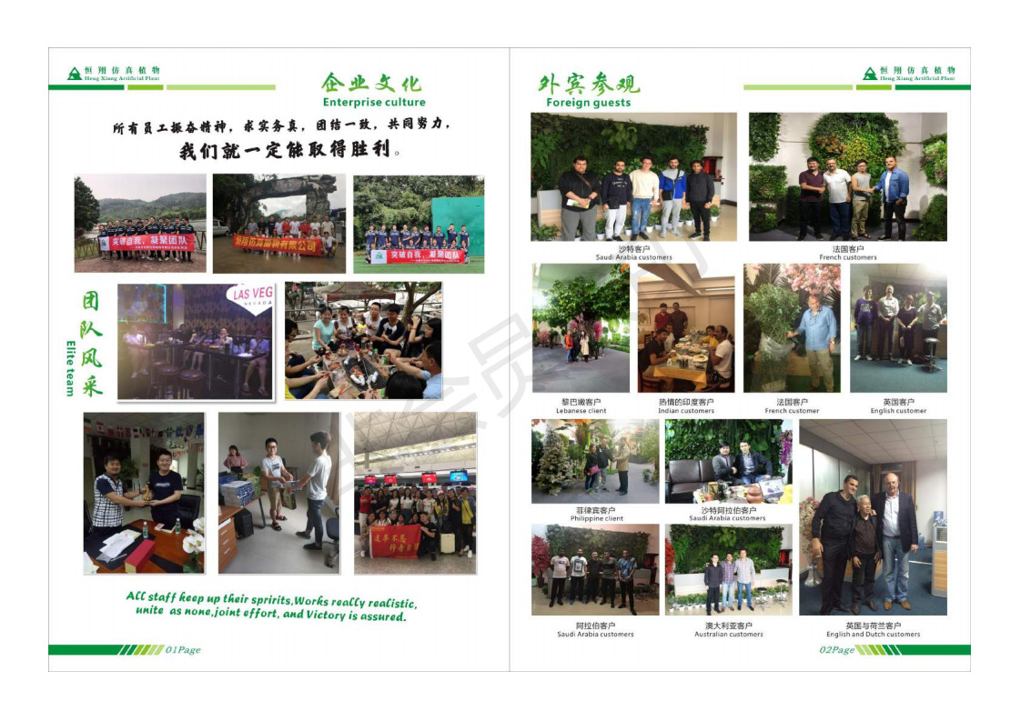 恒翔仿真植物电子画册_03