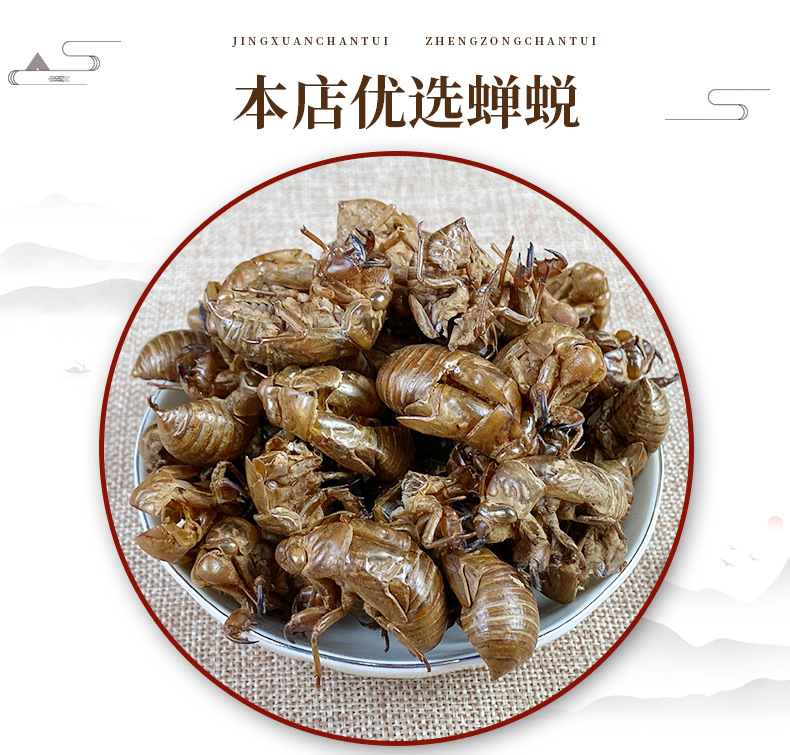 Cicada Slough Chan Tui 蝉蜕 Dried Whole Insect Molt Traditional Chinese Herb 500g Washed overview