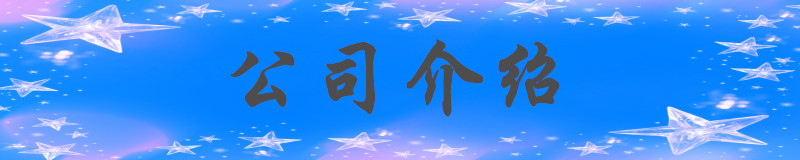 公司介绍