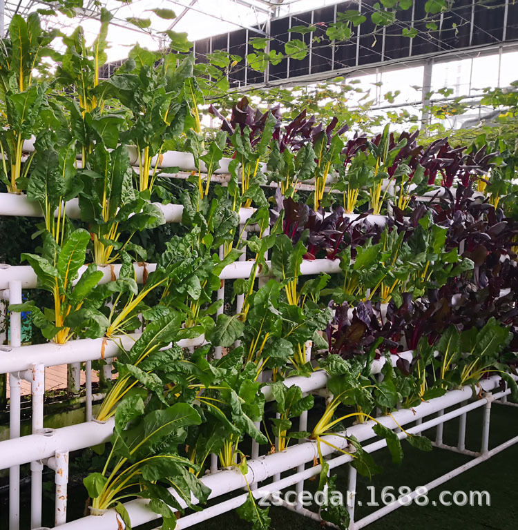 厂价直销 长效钠盐型农业用保水剂 抗旱保水剂 农林土壤调理剂