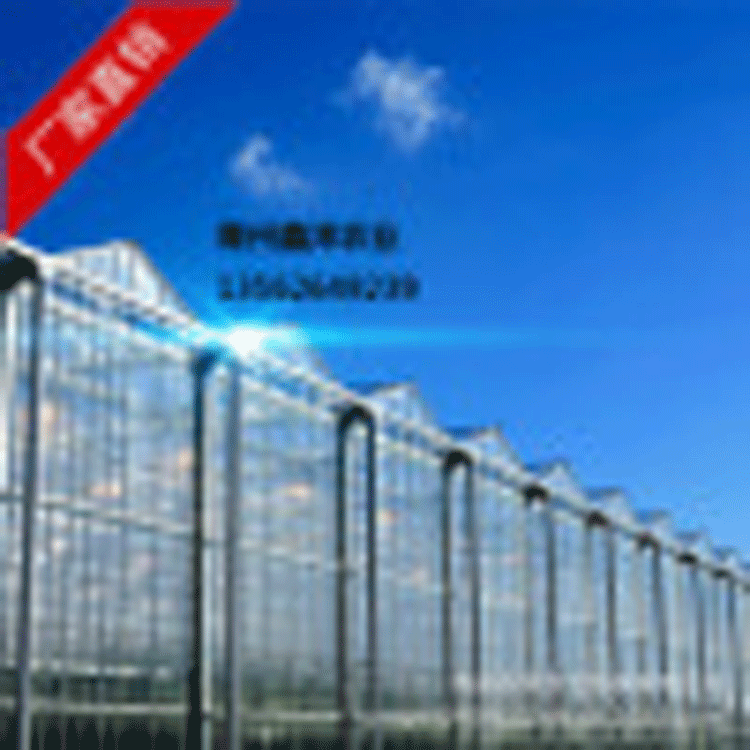 智能玻璃温室 农业花卉养殖温室 连栋玻璃大棚 生态餐厅智能温室