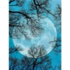 JM132 — 30×40 см, полное заполнение стразами