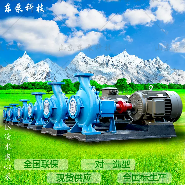 山东东泵 IS卧式重型工业泵 单级单吸卧式离心泵工厂现货