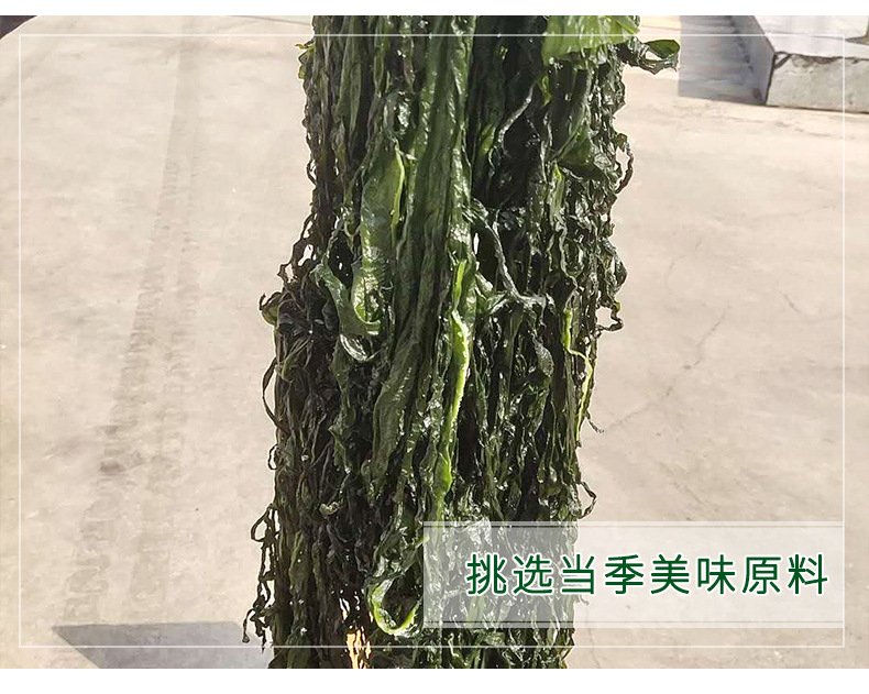 海带(改6）_10.jpg